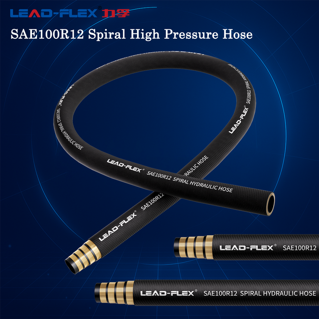 GB / T10544 SAE100 R12